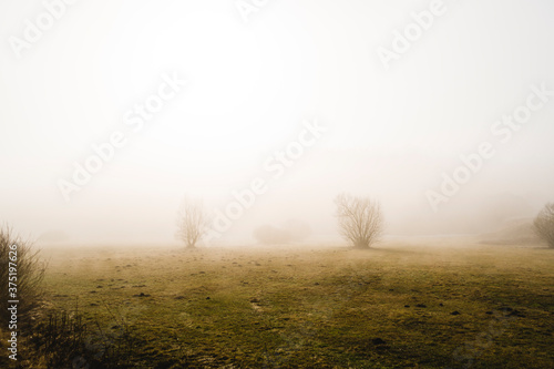 Misty mysterious landscape in the early morning