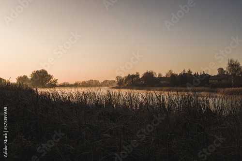 Landscape of sunrise over the river with rushes.