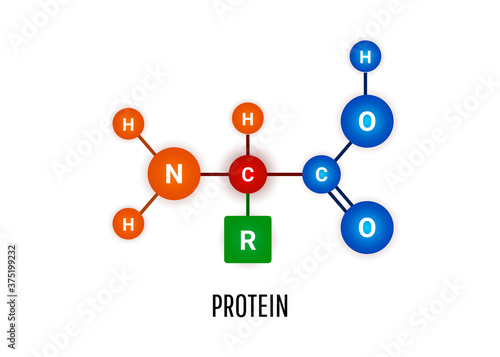 Protein chemical formula molecule on white background