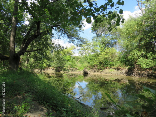 River in the forest on a beautiful day