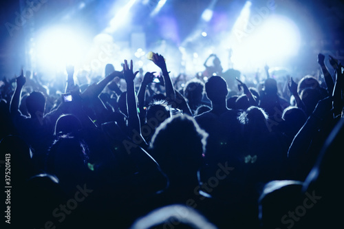 Concert crowd at live music festival