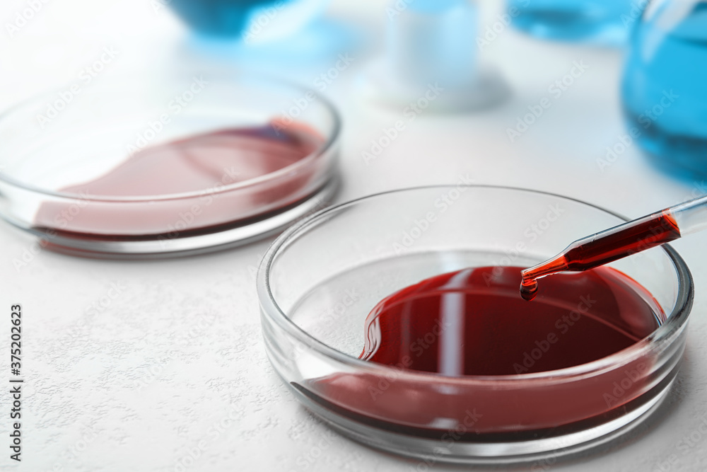 Dripping blood from pipette into Petri dish on table, closeup. Laboratory analysis Dripping blood from pipette into Petri dish on table, closeup. Laboratory analysis