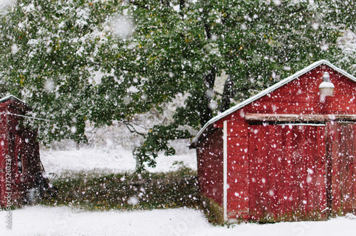 snow flakes falling near a red barn photo