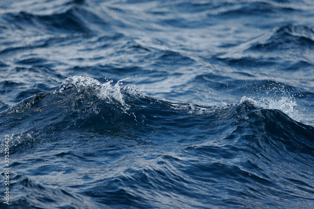 Crest of a wave Crest of a wave