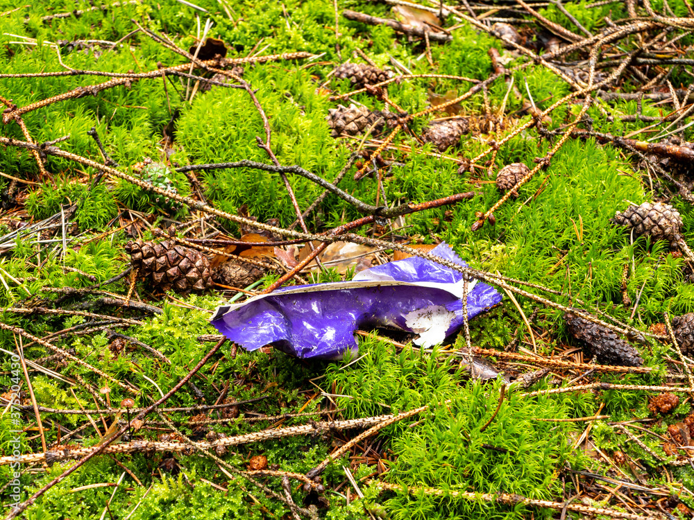 Plastikmüll liegt im Wald