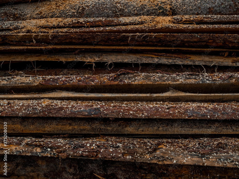 Sticks, boards, wooden logs wooden with knots and sawdust on the sawmill industrial sawing of tree. Back, texture. Sticks, boards, wooden logs wooden with knots and sawdust on the sawmill industrial sawing of tree. Back, texture.