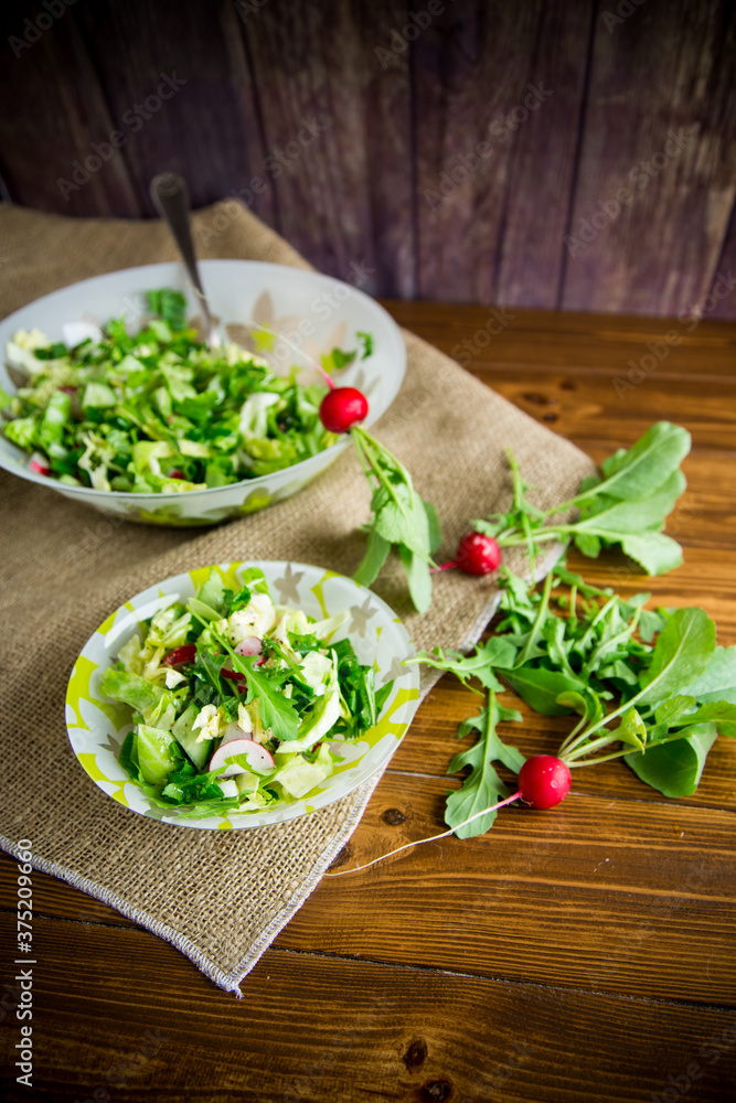 Spring salad from early vegetables, lettuce leaves, radishes and herbs in a plate on the table Spring salad from early vegetables, lettuce leaves, radishes and herbs in a plate on the table