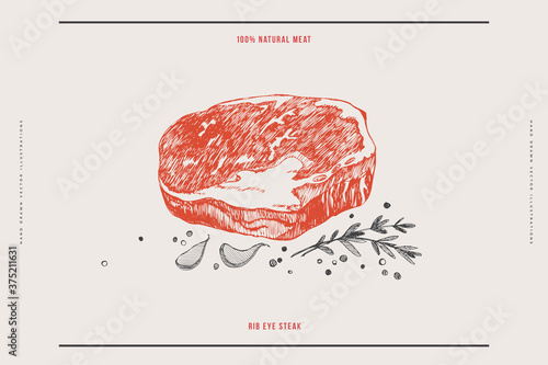 Rib eye steak vector illustration. Hand-drawn slice of meat tenderloin on light background. Concept of fresh farm products. Design element for menu, flyer, poster of butcher shop, market, restaurant.