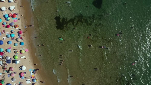 Swimmers in the sea, drone shot