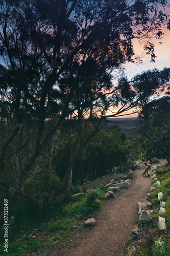 good morning from Mt Lofty, Adelaide Hills photo