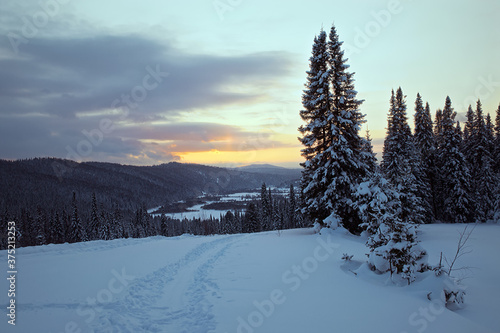 Snow-covered mountain path stretching into the distance against the background of a spruce forest and the setting sun. Mountain Shoria, Siberia, Russia © George