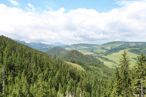 poland mountain landscape in the summer