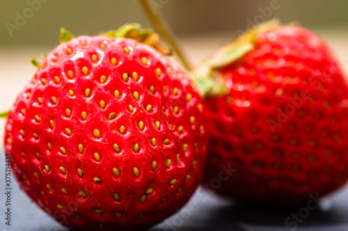 Tableau sur toile Close up of fresh strawberries showing seeds achenes