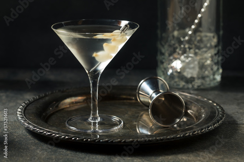 Obraz na płótnie Boozy Dry Gin Gibson Martini