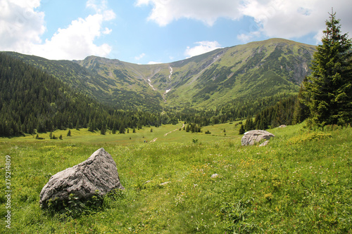 Fototapeta Naklejka Na Ścianę i Meble -  panorama of the mountains
