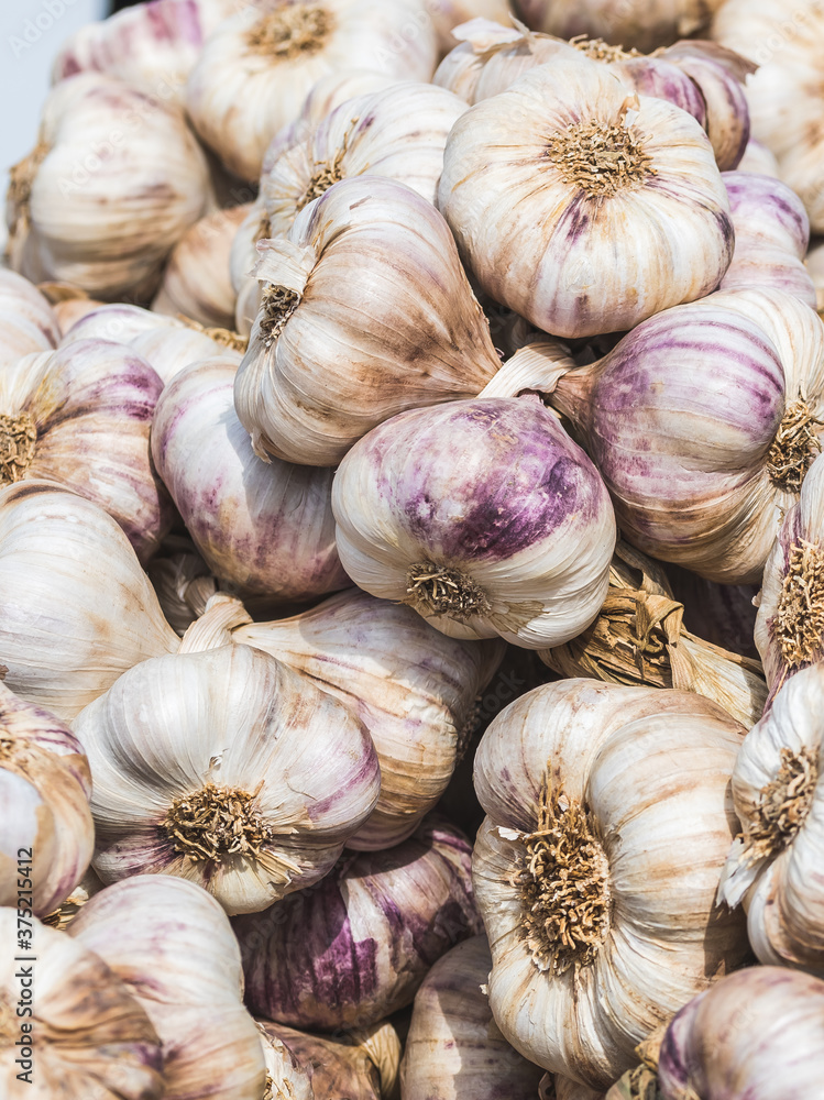 Closeup of ripe garlic, vertical stock photo Closeup of ripe garlic, vertical stock photo