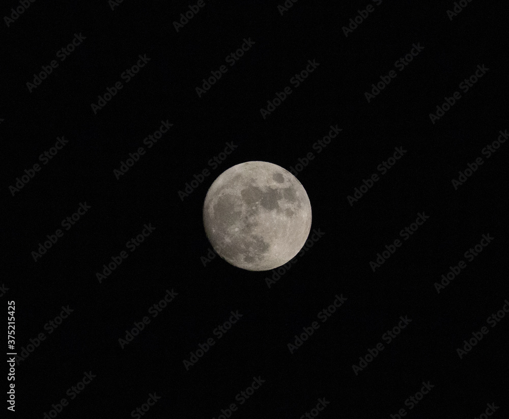 Naklejka premium Luna