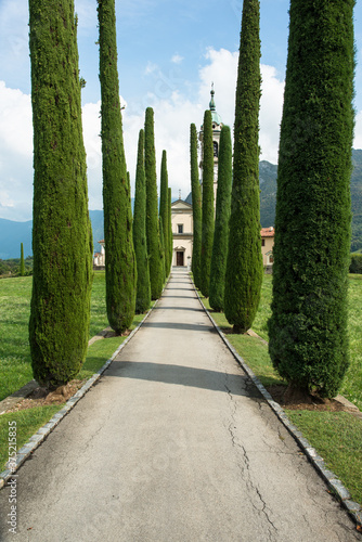 Cupressus alley at Sant'Abbondio Church in Montagnola photo