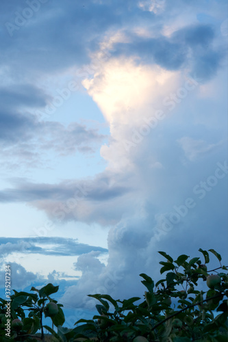 evening summer sky in the village