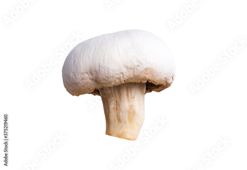 Peeled champignon isolated on white background