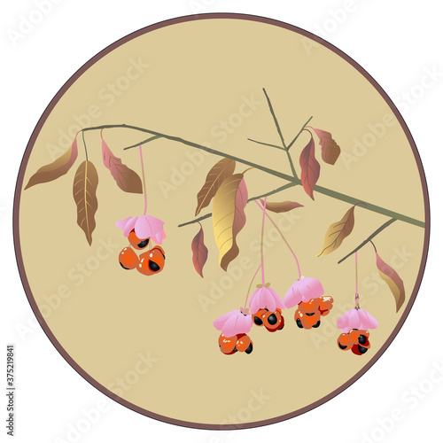 Branch of spindle tree in a circle. Euonymus plant. Beautiful floral autumn motif.