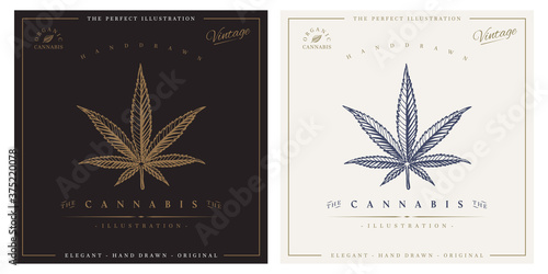 Cannabis vintage logo engraving illustration