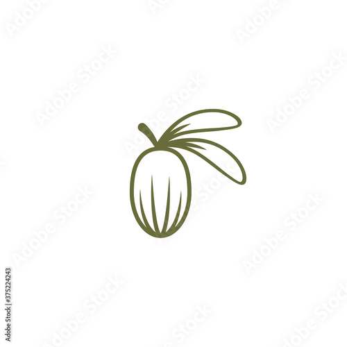 Shea nut green icon. vitellaria beauty and cosmetics oil. Cosmetic ingredient carotene, carotin.