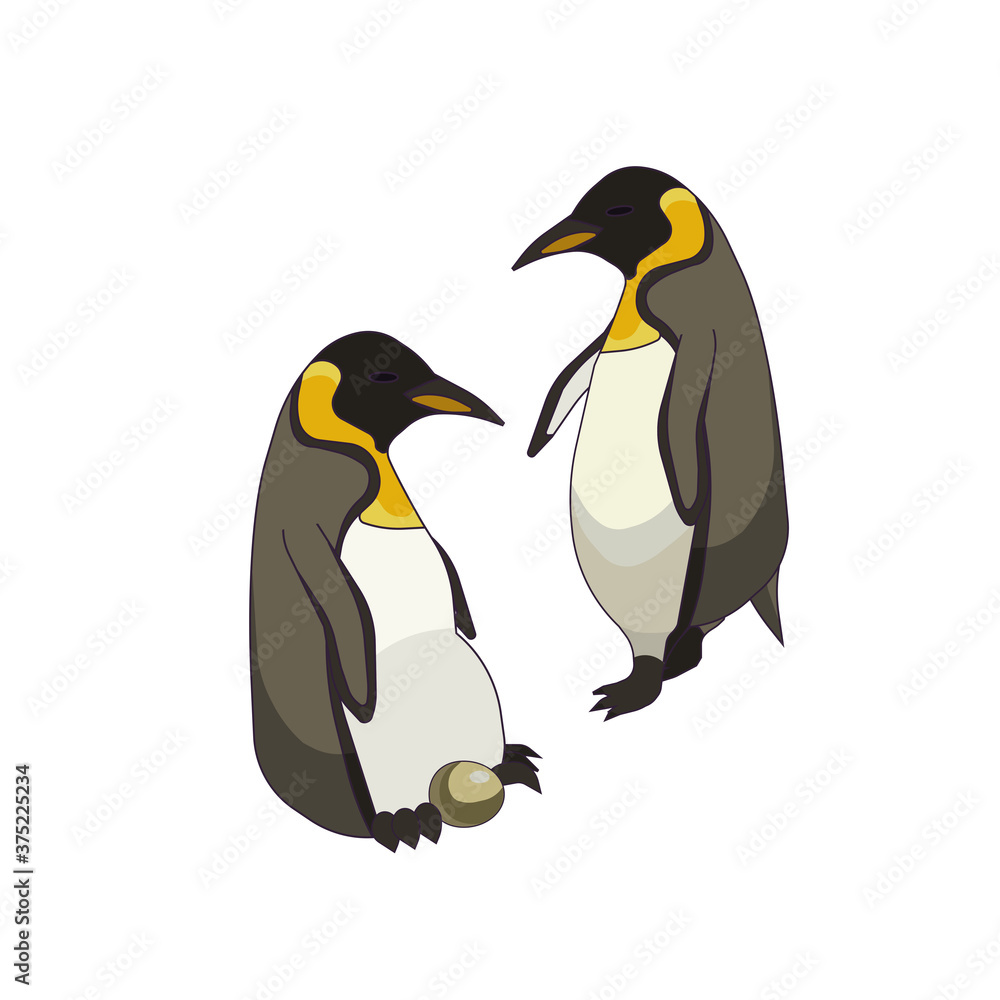Obraz premium Two Emperor penguins with an egg in Cartoon style on white isolated background, vector stock illustration for prints and patterns, concept of Antarctic Wildlife, Ornithology and Polar birds or Family.