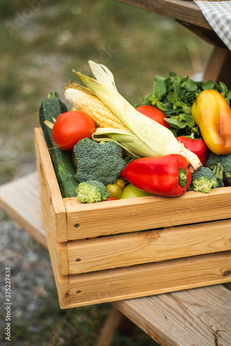 A box with a harvest of vegetables is on the street. Peppers, corn, broccoli, tomatoes and herbs inside the box. Autumn harvest.