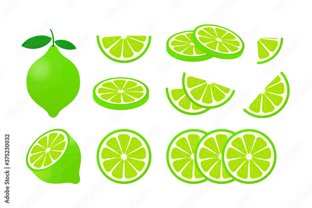 Lime with green leaves, slice citrus isolated on white background. Vector illustration.