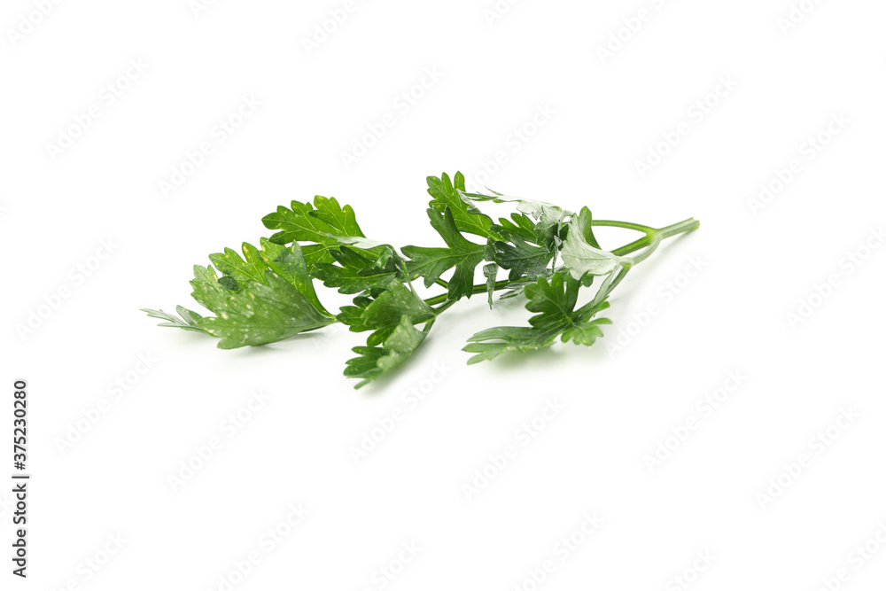 Fresh green parsley isolated on white background Fresh green parsley isolated on white background