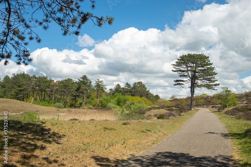 road ina dune landscape. Bergen op Zoom, The Netherlands 