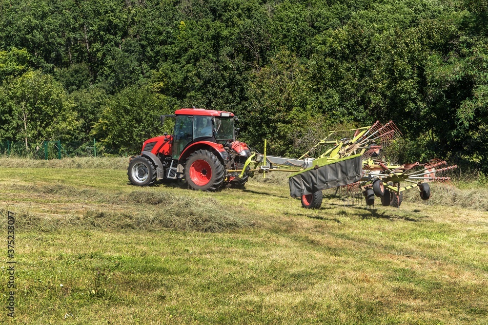 Obraz premium Red tractor working in a field with a two-rotor tedder. Drying hay in the meadow. Work on an agricultural farm.