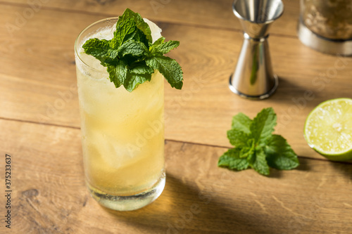 Refreshing Mint GinGin Mule Cocktail photo