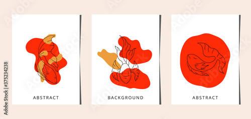 Betta fish vector illustration background set.
