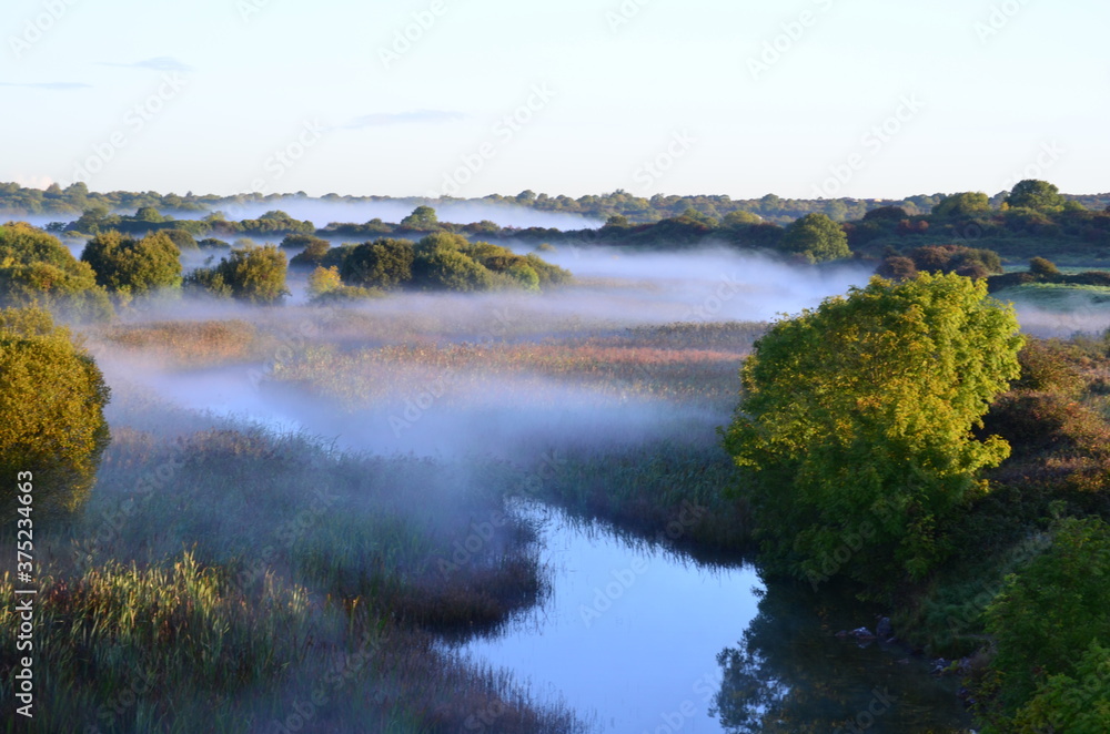 autumn landscape with river on morning mist