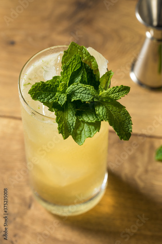 Refreshing Mint GinGin Mule Cocktail photo