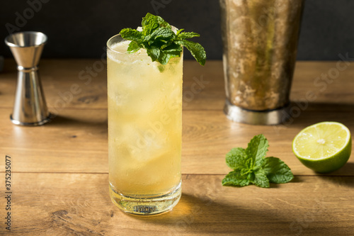 Refreshing Mint GinGin Mule Cocktail photo