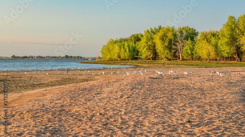 Photography late summer morning in Boyd Lake State Park, Colorado with an empty swimming bea