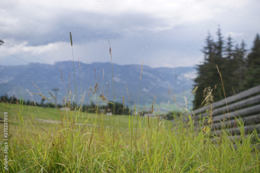 Fototapeta premium Steiermark Aussicht Schladming
