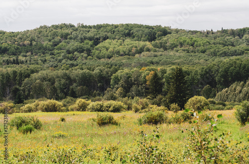 A majestic view from the Shell River Valley hiking trail in Duck Mountian Provincial Park, Manitoba, Canada - Canadian Landscape