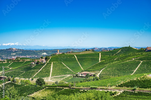 Langhe 9