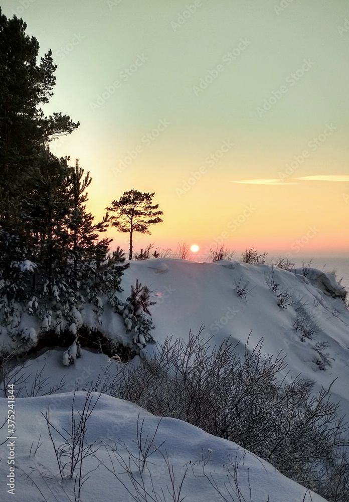 beautiful sunset in the winter forest