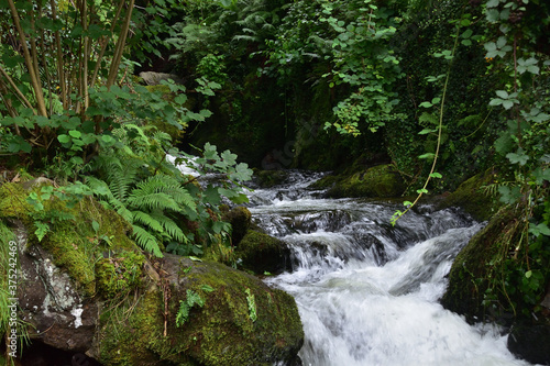 Welsh Valley Water