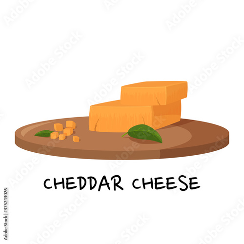 Pieces of Cheddar cheese on a wooden tray. Realistic vector illustration isolated on white background.