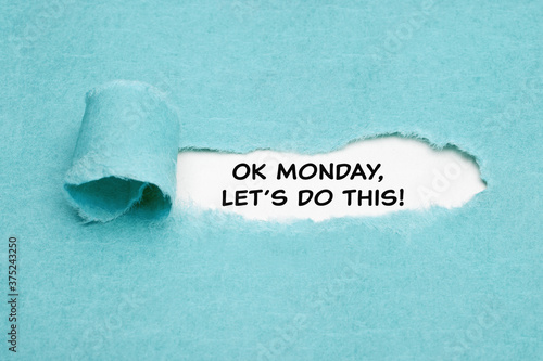 Quadro su tela OK Monday Lets Do This Motivational Concept