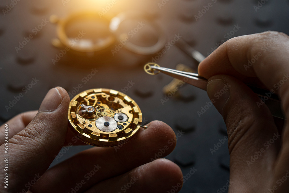 Watchmaker's workshop, mechanical watch repair. SPecial repair kit Watchmaker's workshop, mechanical watch repair. SPecial repair kit