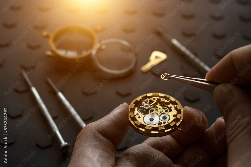 Watchmaker's workshop, mechanical watch repair. SPecial repair kit Watchmaker's workshop, mechanical watch repair. SPecial repair kit