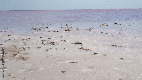 Fotografie Pink salt, sea salt, made from microscopic unicellular algae secretes betacarati