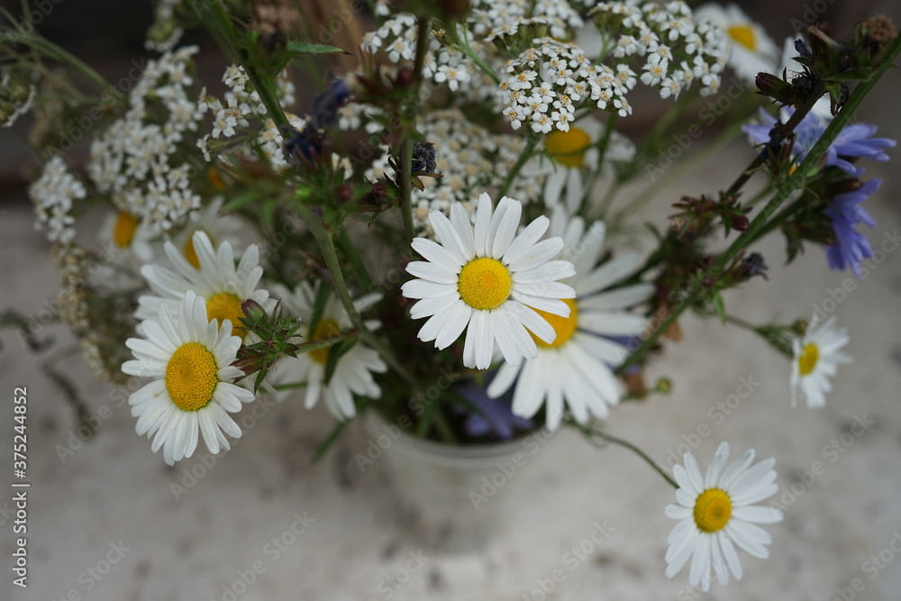 Obraz premium chamomiles and wildflowers bouquet